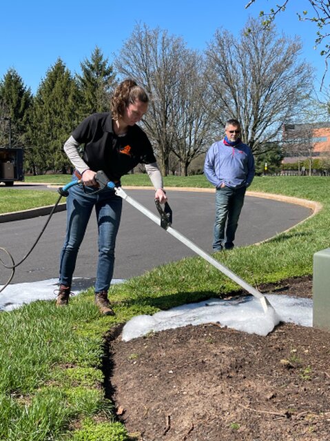 Schemat działania gorącej wody na system korzeniowy chwastów