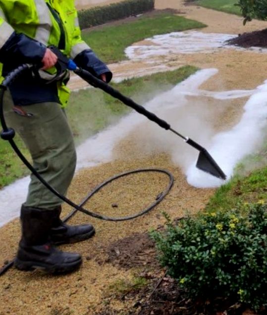 Park miejski pielęgnowany bez chemii