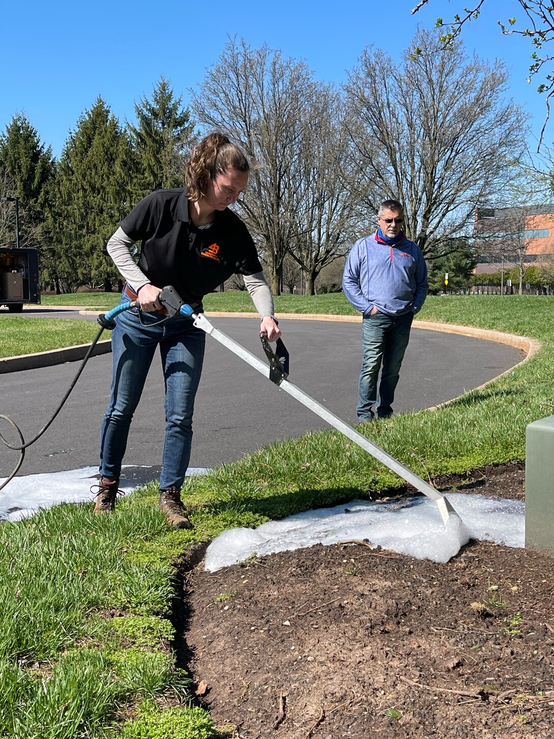 Czyste alejki osiedlowe po zabiegu
