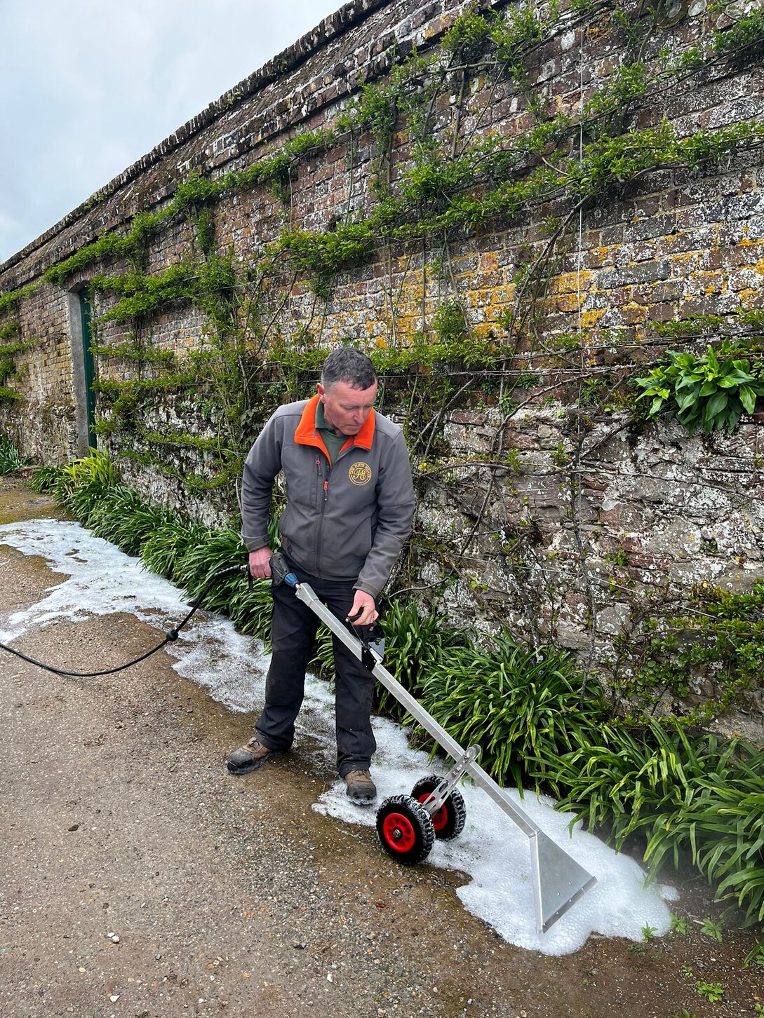 Czyste alejki cmentarne po zabiegu