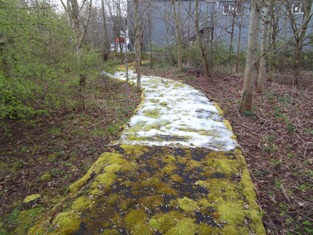 Alejka osiedlowa przed i po usunięciu chwastów